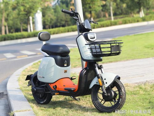 c1駕照能開電動車嗎 交警 這幾種兩輪 三輪 四輪電動車都能開