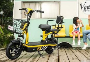 求電動(dòng)車(chē)十大品排名榜,有哪些比較推薦