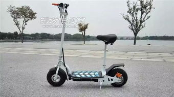 鶻鷹智能廠家直銷 臺州折疊電動車 折疊電動車哪家好圖片