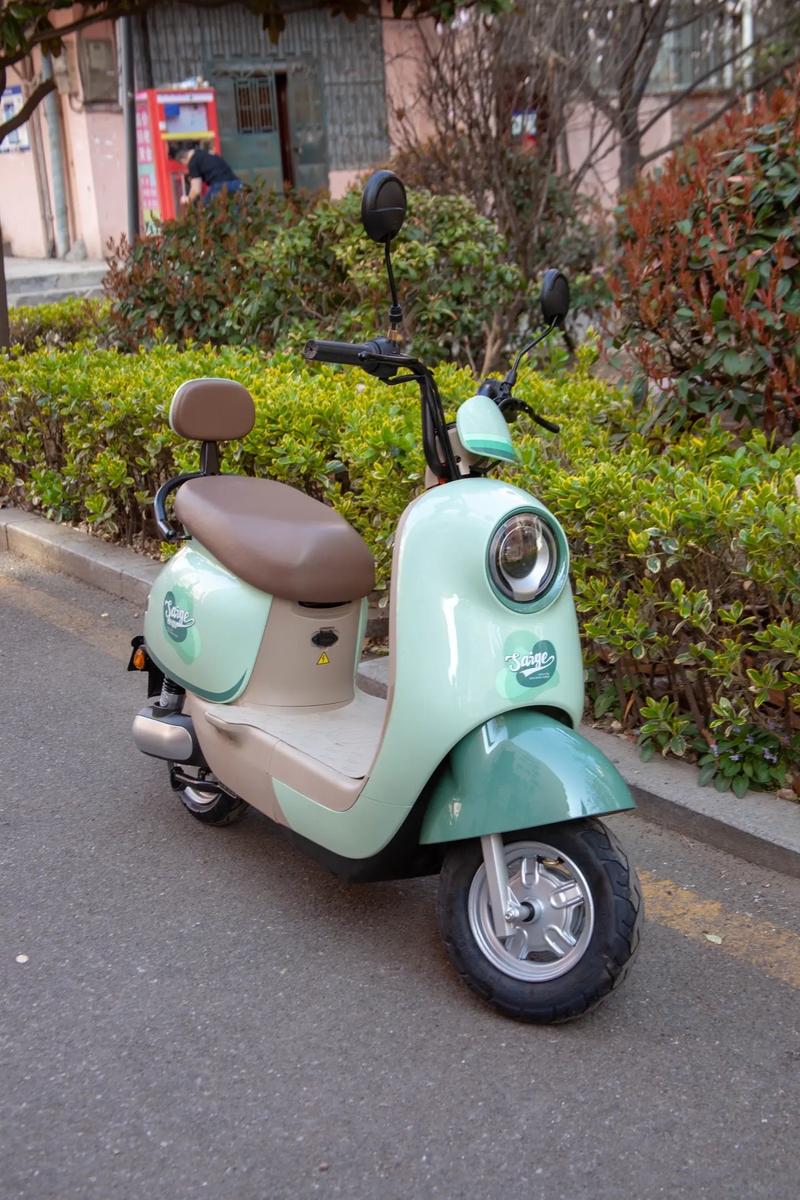 春游出行好伴侶 性價比高的電動車推薦，為175身高量身定制